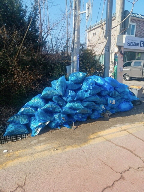 7-3 새마을지도자 신북면협의회, 봄맞이 포천천 산책로 환경정화활동 실시.jpg
