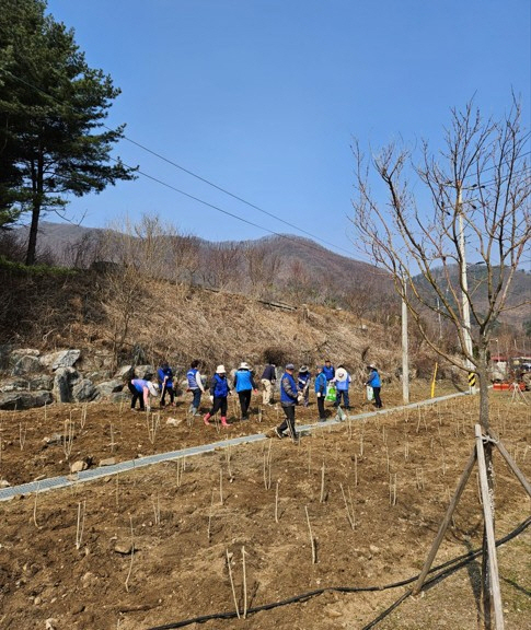 6-3 바르게살기운동 창수면위원회, 나라사랑 무궁화 심기 행사 개최4.jpg