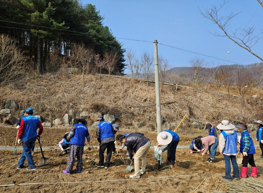 6-2 바르게살기운동 창수면위원회, 나라사랑 무궁화 심기 행사 개최3.jpg