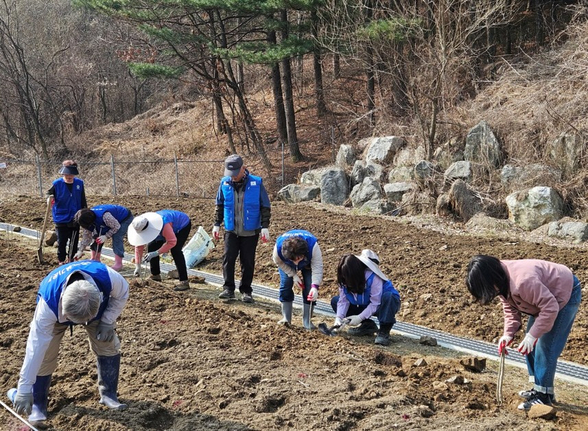 6-4 바르게살기운동 창수면위원회, 나라사랑 무궁화 심기 행사 개최12.jpg