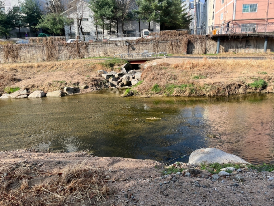image41.jpg