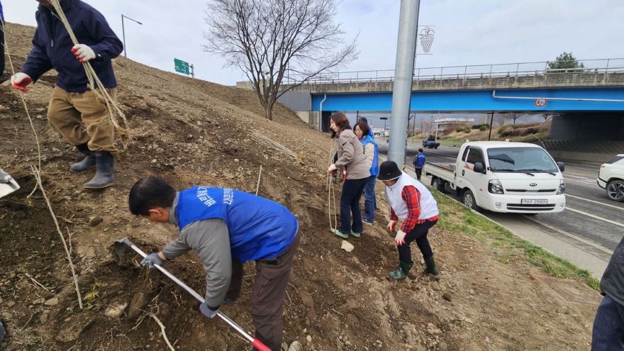 11-3 바르게살기운동 내촌면위원회·주민자치회, ‘나라 사랑 무궁화심기 행사’ 개최.jpg