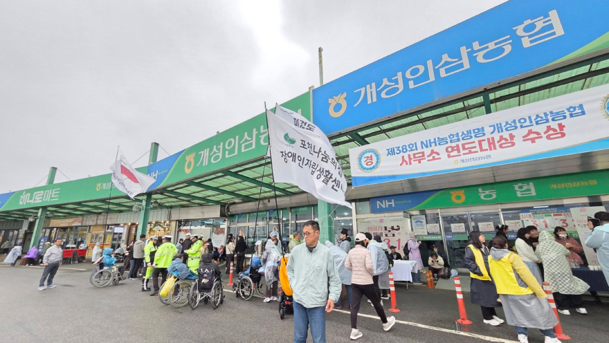 개성인삼조합.jpg