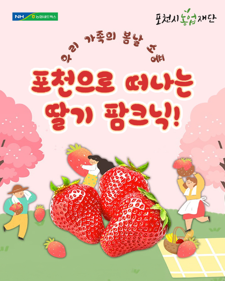 4-1 포천시농업재단, ‘포천으로 떠나는 딸기 팜크닉’ 성황리 운영.jpg