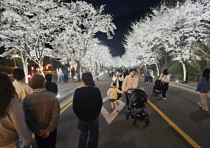 4. 동두천 자유수호평화박물관, 벚꽃맞이 야간개장 성료.jpg