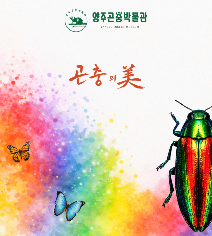 4.23. - 양주시, ‘양주곤충박물관’ 곤충의 미(美)-색충전 특별전 개최.jpg