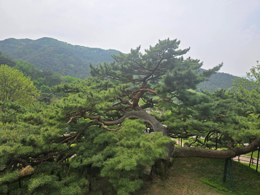 KakaoTalk_20260428_163614203_04.jpg