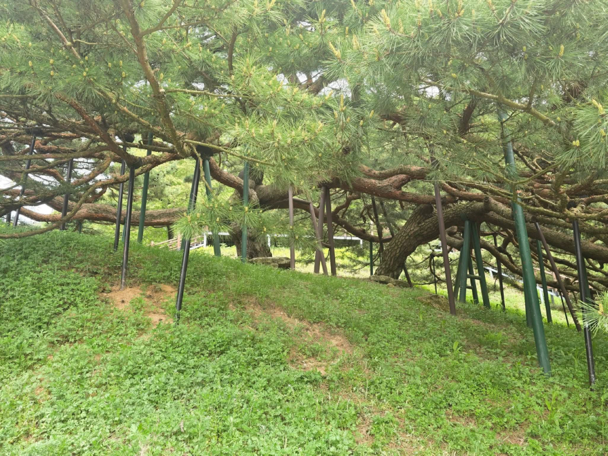 KakaoTalk_20260428_163614203_01.jpg