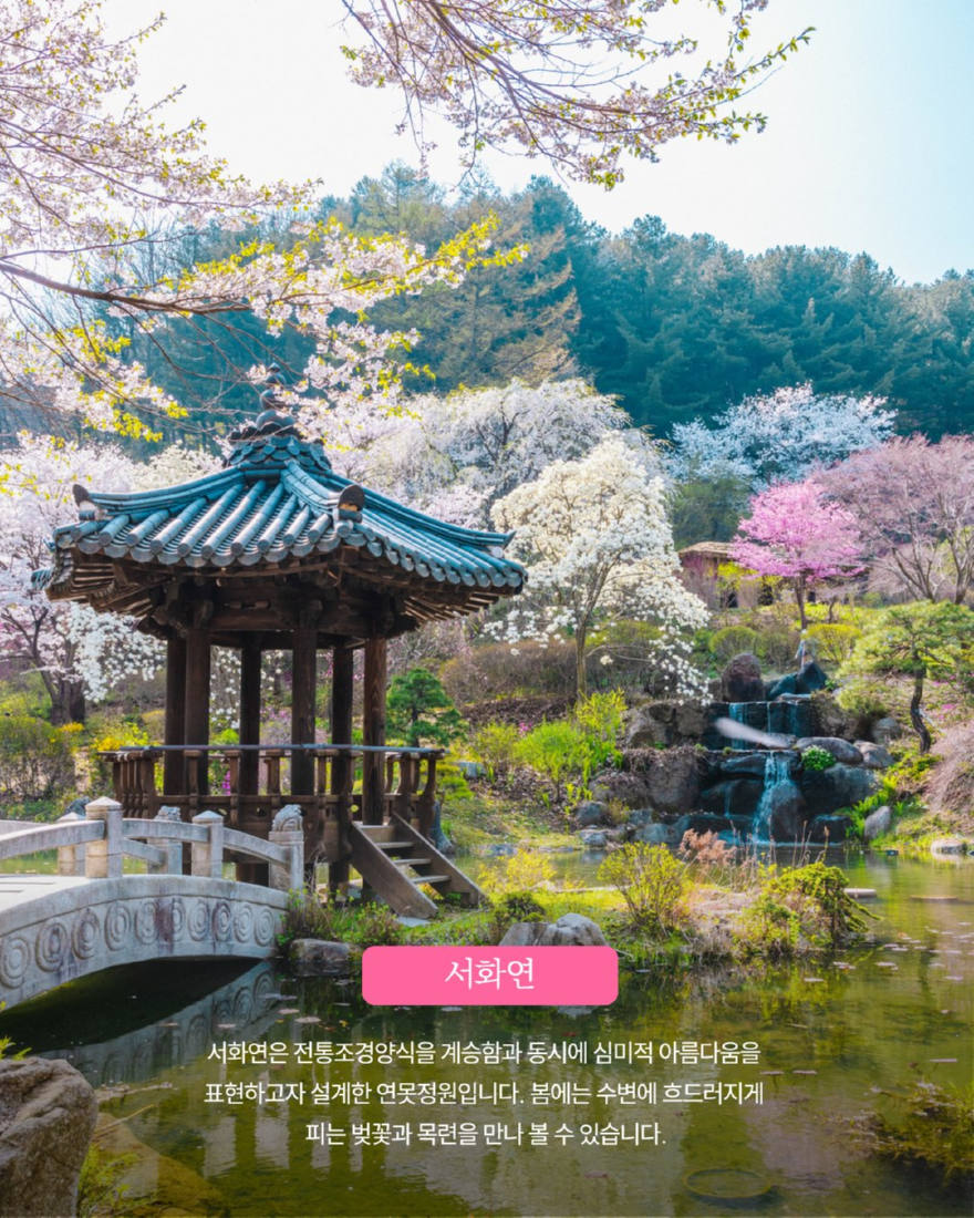 봄꽃페스타 인스타 업로드용 5.jpg