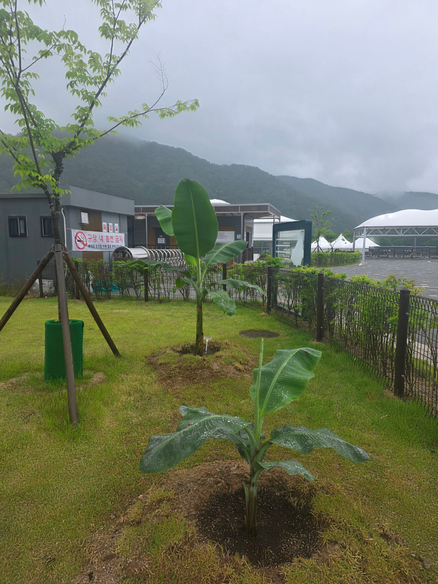 KakaoTalk_20260527_182445303.jpg