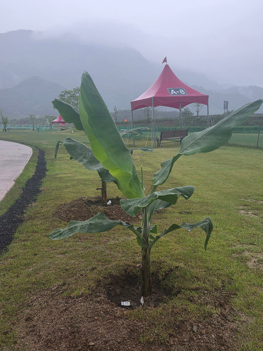 KakaoTalk_20260527_182618713.jpg