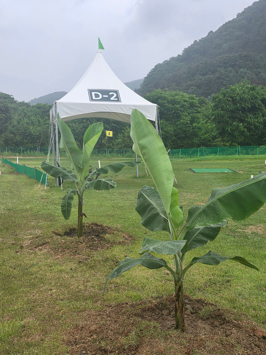 KakaoTalk_20260527_182619767.jpg