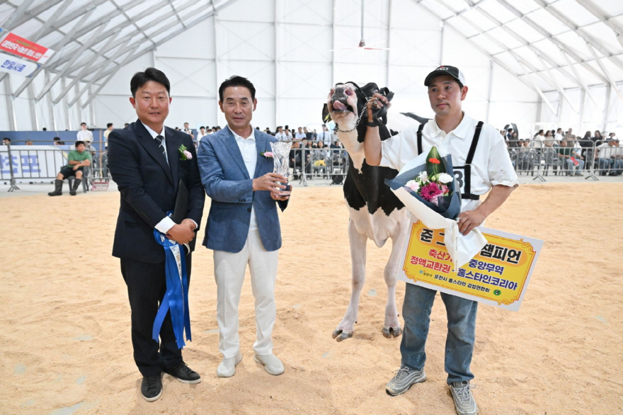 5-3 포천시홀스타인검정연합회, 제17회 홀스타인 품평회 성황리 개최(준그랜드챔피언).jpg