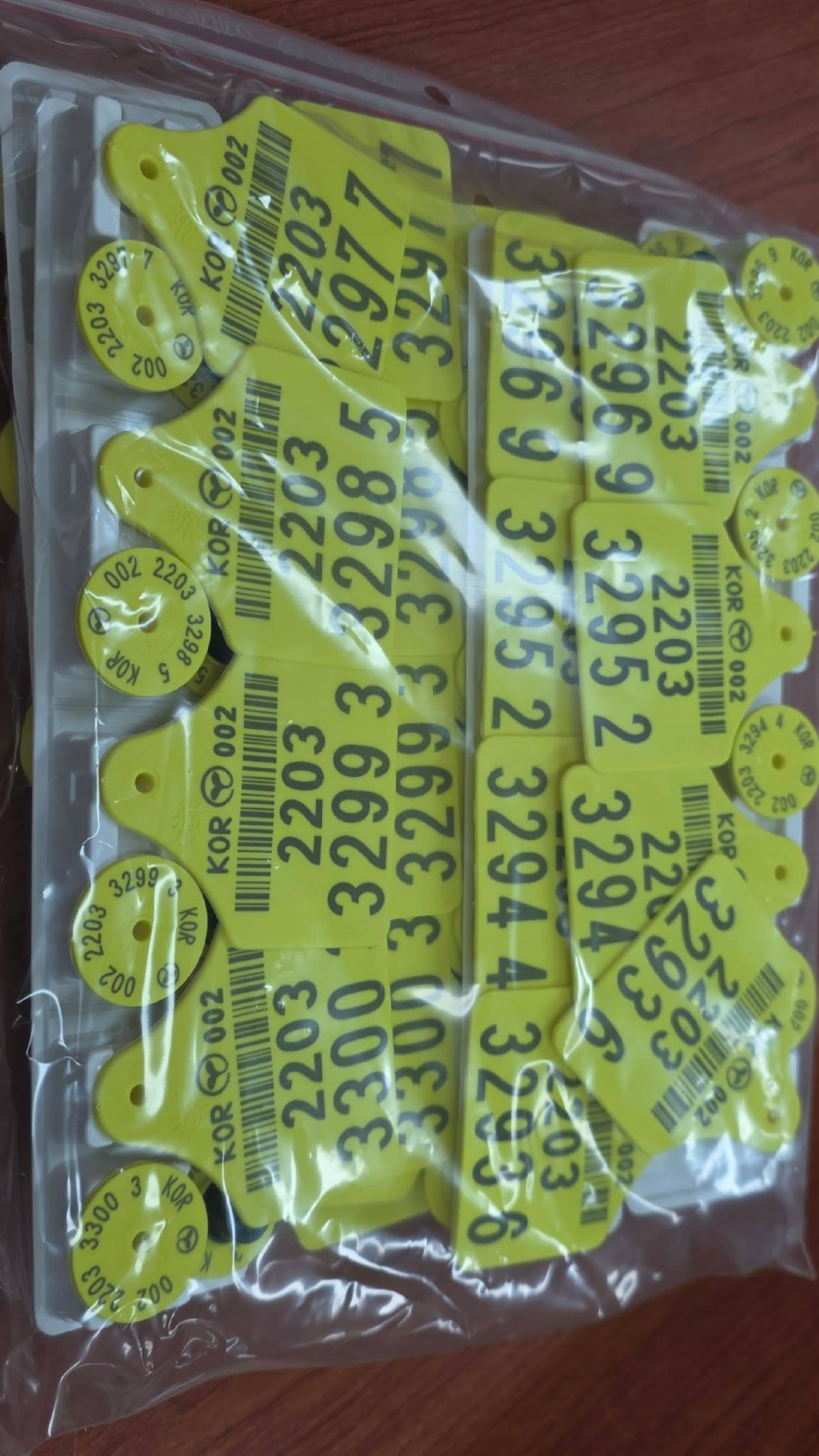 731334636_27539783805674028_8797247890590548134_n.jpg