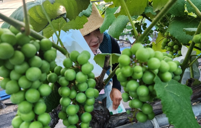 KakaoTalk_20260630_174441130_02.jpg