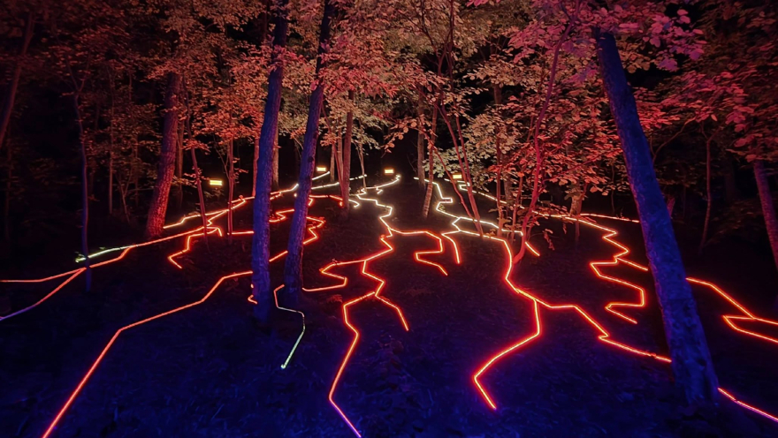 739335541_27655171427468598_2336381830461334983_n.jpg