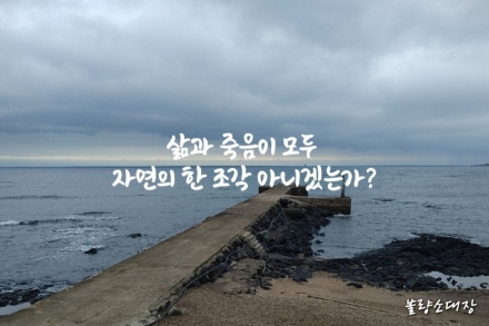 페이스북 너머의 제주, 정진철의 ‘진짜’ 홀로서기