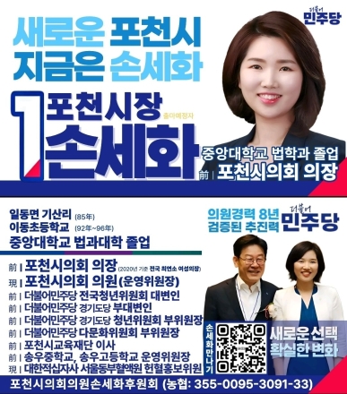 손세화 시의원, 민주당 포천시장 공천 부적격 판정에 반발... "기준 일관성 잃은 소급적용"