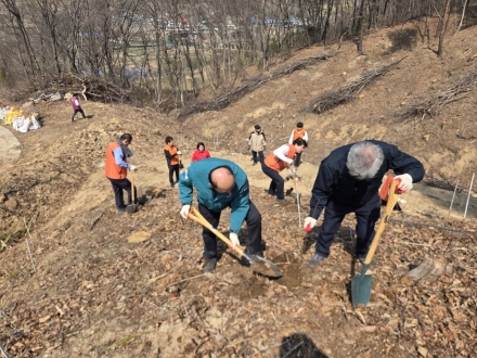 동두천시, 제81회 식목일 맞아 자작나무 3,000본 식재... ‘기후 위기 대응’ 앞장