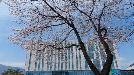 포천시, 청성산 개발 등 주요 현안 현장 점검... 우기 대비 안전 관리 강화