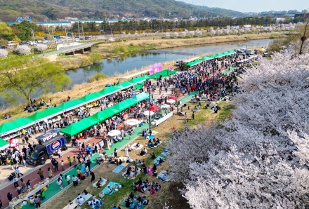 [기자수첩] 벚꽃은 핑계였다