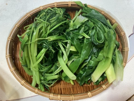 포천의 들판에 찾아온 봄의 전령사... 제철 나물 ‘원추리’ 맛과 건강 잡는다