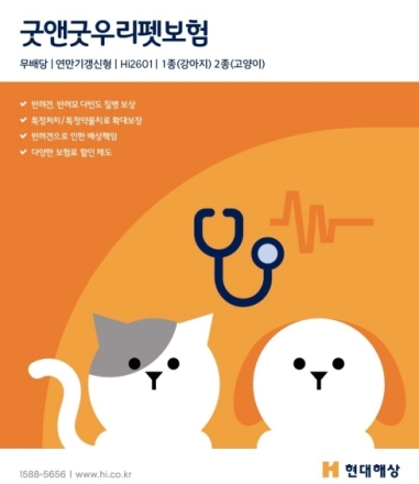 ‘반려동물 건강권’ 보장 강화... 현대해상 펫보험, 내시경·표적약물까지 보장 확대