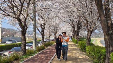 맨발로 전하는 대지의 생명력, 맨발길 열풍의 명과 암