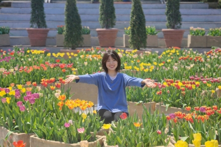 포천체육공원의 변신… 1만 2천 본 튤립 미로 ‘봄의 향연’