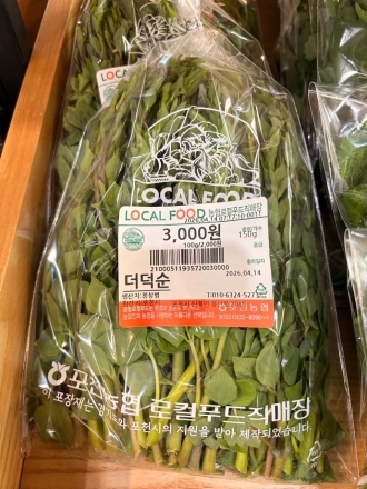 “입안 가득 번지는 산의 정기”... 포천농협 로컬푸드, 제철 봄나물 본격 입고