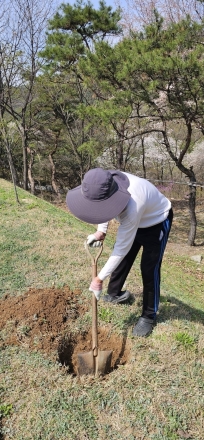[기자수첩] 나무를 심는 사람들은 오늘보다 먼 시간을 산다
