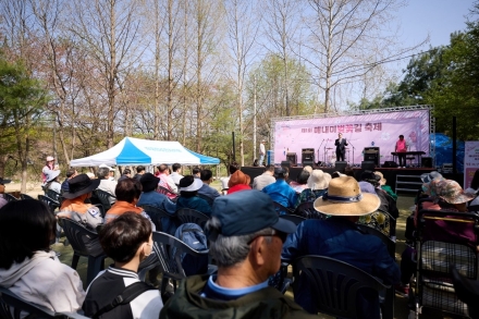 양주시 장흥면, ‘제1회 매내미 벚꽃길 축제’ 성료... 주민이 직접 빚은 ‘봄의 향연’