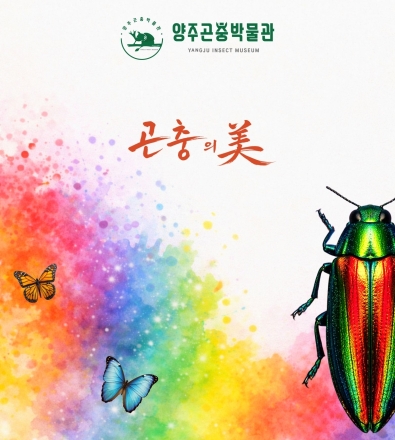 “곤충의 색엔 생존의 비밀이 있다”… 양주곤충박물관, ‘색충전’ 특별전 개최