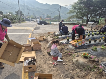 연휴 잊은 지역 사랑… 이동면, 꽃길로 단장하며 ‘구슬땀’