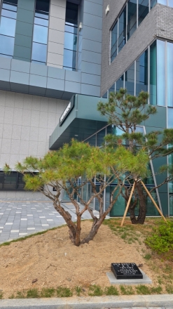 양주1동 복합청사 개청, 주민 기증 기념식수로 ‘민관 화합’ 뿌리 내린다