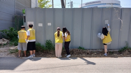 민관 협업형 가로정비 나섰지만… ‘예산·수량’ 결측 속 단기성 이벤트 지적