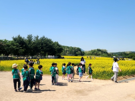 양주 나리농원, 봄 무료개장 ‘1만 7천 명’ 인파... 관광객 사로잡았다