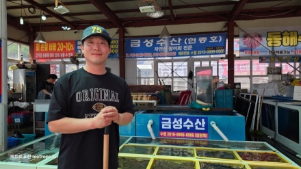 [현장 탐방] 동해 묵호항의 맛을 전국으로, 100% 자연산 활어회 전문 ‘금성수산 2호점 (현종호)’