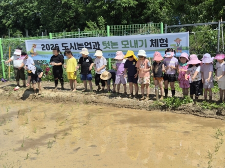 의정부시, 유치원생 39명 대상 ‘텃논 모내기 체험’ 개최… 도심형 도시농업 생태계 시험대