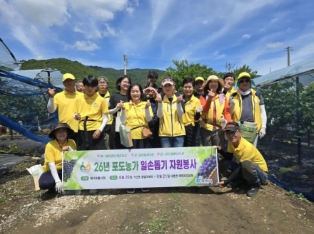 맑게 갠 하늘 아래 피어난 나눔… 태사모봉사회, 내촌면 포도농가 일손돕기 땀방울