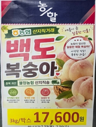 포천농협 로컬푸드, 제철 백도 복숭아 산지직거래… 3kg 1만 7,600원 특가 판매