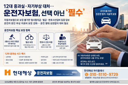 12대 중과실·자기부상 대처… 운전자보험, 선택 아닌 ‘필수’